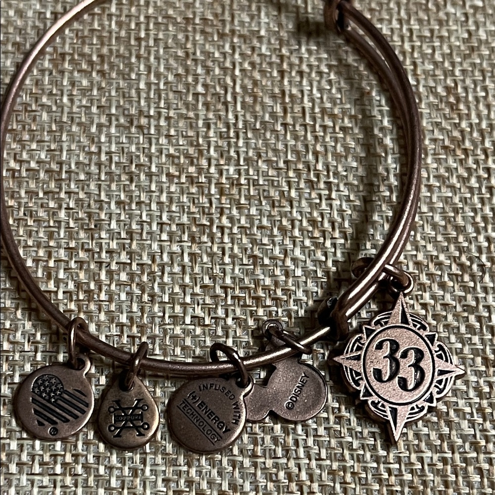 Alex and Ani Bronze Charm Bracelet Disney Class 33 - Picture 4 of 4